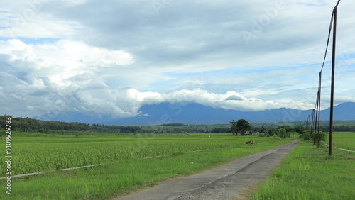 Scenic view of a rice field stretching towards the mountains, with a winding road and power lines leading the eye through the landscape under a cloudy sky