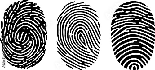 Vector illustration set of three black line fingerprint types on white background. stock illustration. EPS10