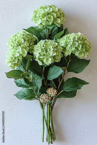 natural serene green hydrangea and delicate scabiosa bouquet,