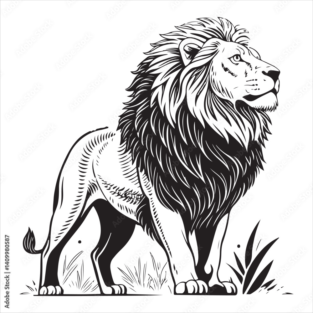 Fototapeta premium Lion Vector