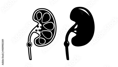 Kidney stones symbol , black  isolated silhouette