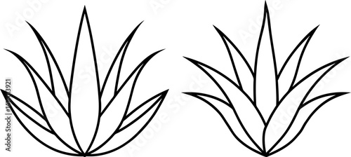 Aloe vera outline art vectors and Set of black aloe vera icon silhouette collections