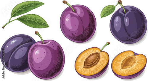Plums with Plums slice in white background Illustration vector design, Plums Illustration vector design