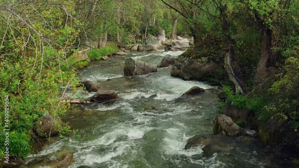 A fast-flowing water stream between rocky shores and boulders. Beautiful mountain river and forest landscape. A fast-flowing water stream between rocky shores and boulders. Beautiful mountain river and forest landscape.