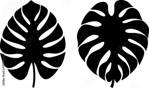 Monstera leaves art vectors and Set of black monstera leaf icon silhouette collections