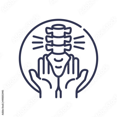 Hands supporting a spine, symbolizing manual therapy and spinal care.