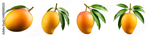 Fresh Ripe Mango with Leaves Transparent

