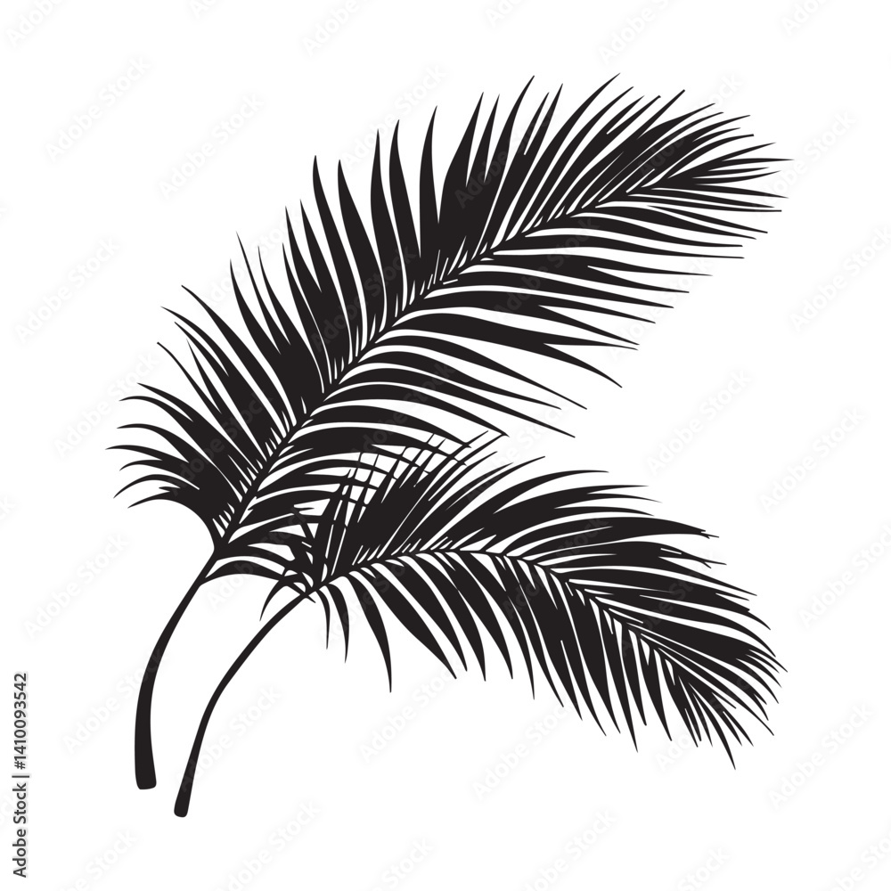 Obraz premium fern branches, vector, graphics, black and white, minimalism 