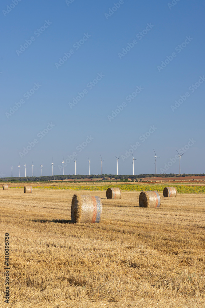 Round hay bales scattered on harvested wheat field with wind turbines generating electricity on sunny day