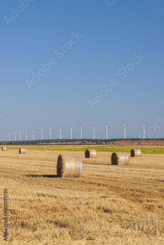 Obraz na płótnie Round hay bales scattered on harvested wheat field with wind turbines generating electricity on sunny day w salonie