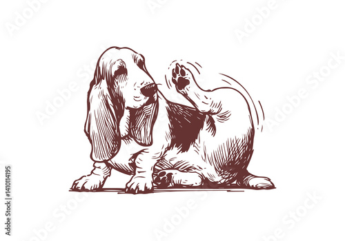 Basset Hound Dog Hand Drawn Illustration Sketch Vector Isolated for Graphic Resource