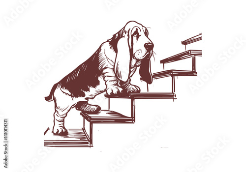 Basset Hound Dog Hand Drawn Illustration Sketch Vector Isolated for Graphic Resource