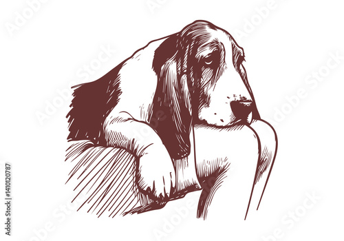 Basset Hound Dog Hand Drawn Illustration Sketch Vector Isolated for Graphic Resource