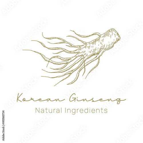 Ginseng logo with hand drawn style for natural brand or skincare
