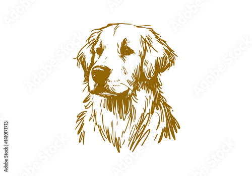 Golden Retriever Dog Hand Drawn Illustration Sketch Vector Isolated for Graphic Resource