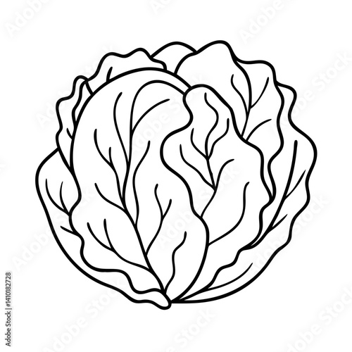 iceberg lettuce icon, iceberg lettuce vector illustration-simple illustration of iceberg lettuce, perfect for iceberg lettuce logos and icons
