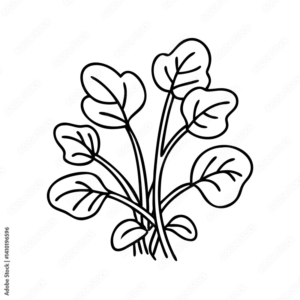 Fototapeta premium watercress icon, watercress vector illustration-simple illustration of watercress, perfect for watercress logos and icons
