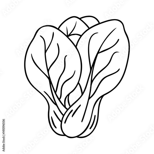 bok choy icon, bok choy vector illustration-simple illustration of bok choy, perfect for bok choy logos and icons