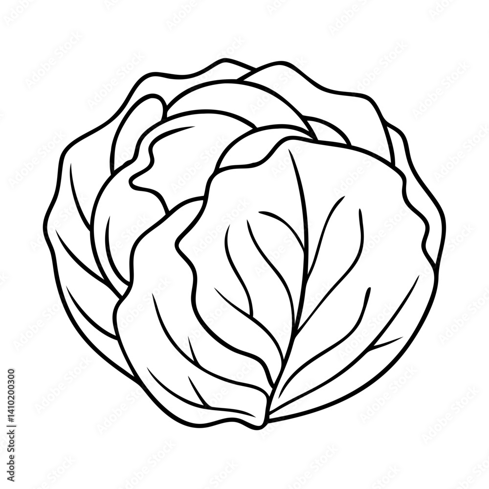 Obraz premium cabbage icon, cabbage vector illustration-simple illustration of cabbage, perfect for cabbage logos and icons