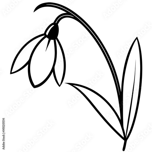 Elegant Snowdrop Vector Illustration for Digital Design Projects