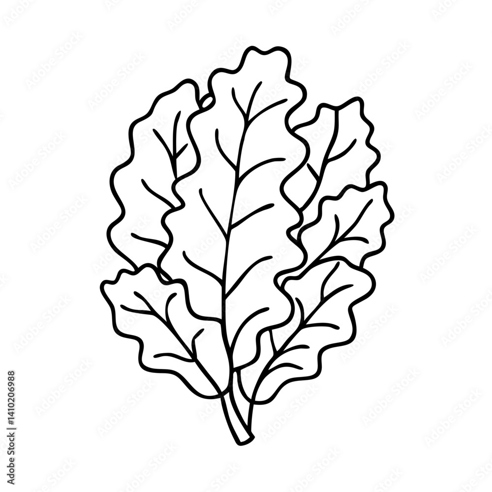 Fototapeta premium kale icon, kale vector illustration-simple illustration of kale, perfect for kale logos and icons