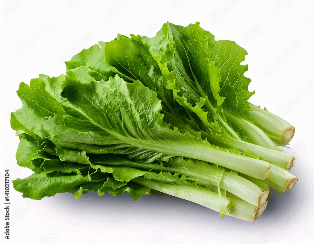 Fresh Green Chicory Salad Leaves Bundle Closeup Image white background Generative AI Fresh Green Chicory Salad Leaves Bundle Closeup Image white background Generative AI