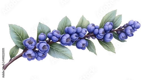 Delicate Branch of Purple Blossoms and Green Leaves
