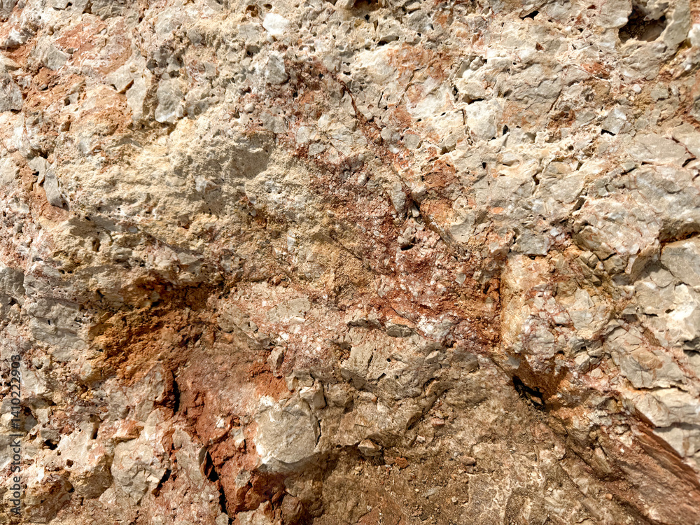 Textured rock surface with earthy tones in a natural outdoor setting during daylight hours