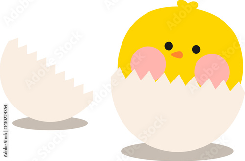 귀여운 병아리 