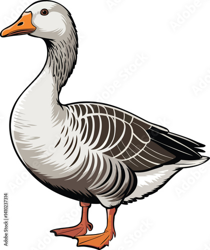 Cute Duck Vector
