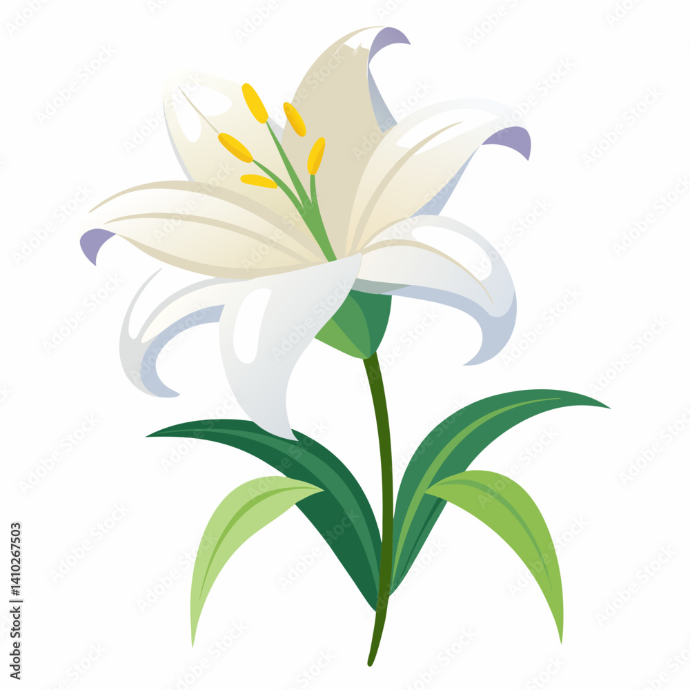 Fototapeta premium Easter Lily illustration with green leaves