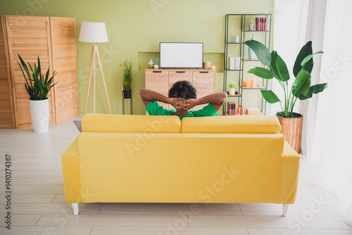 Rear photo of nice young man sit couch watch tv wear t-shirt modern green interior apartment indoors