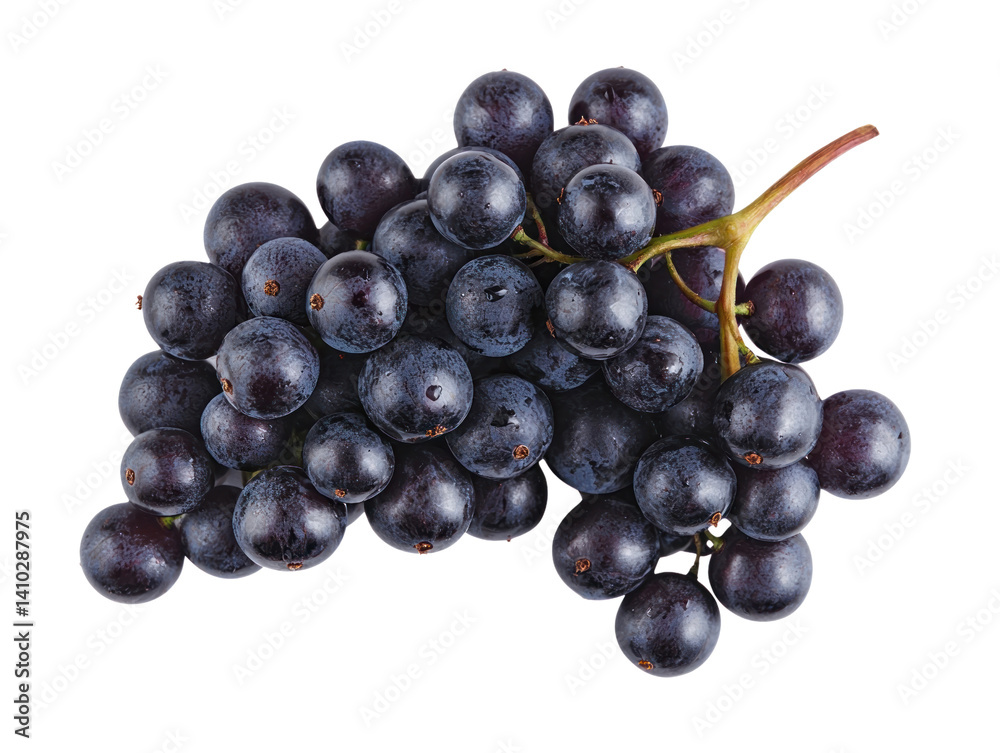 Fresh black grapes cutout background for creative design studio setting high-quality image close-up view Fresh black grapes cutout background for creative design studio setting high-quality image close-up view