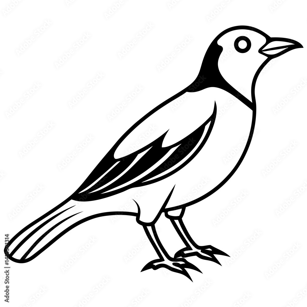 Black and White Line Art Illustration of a Bird.