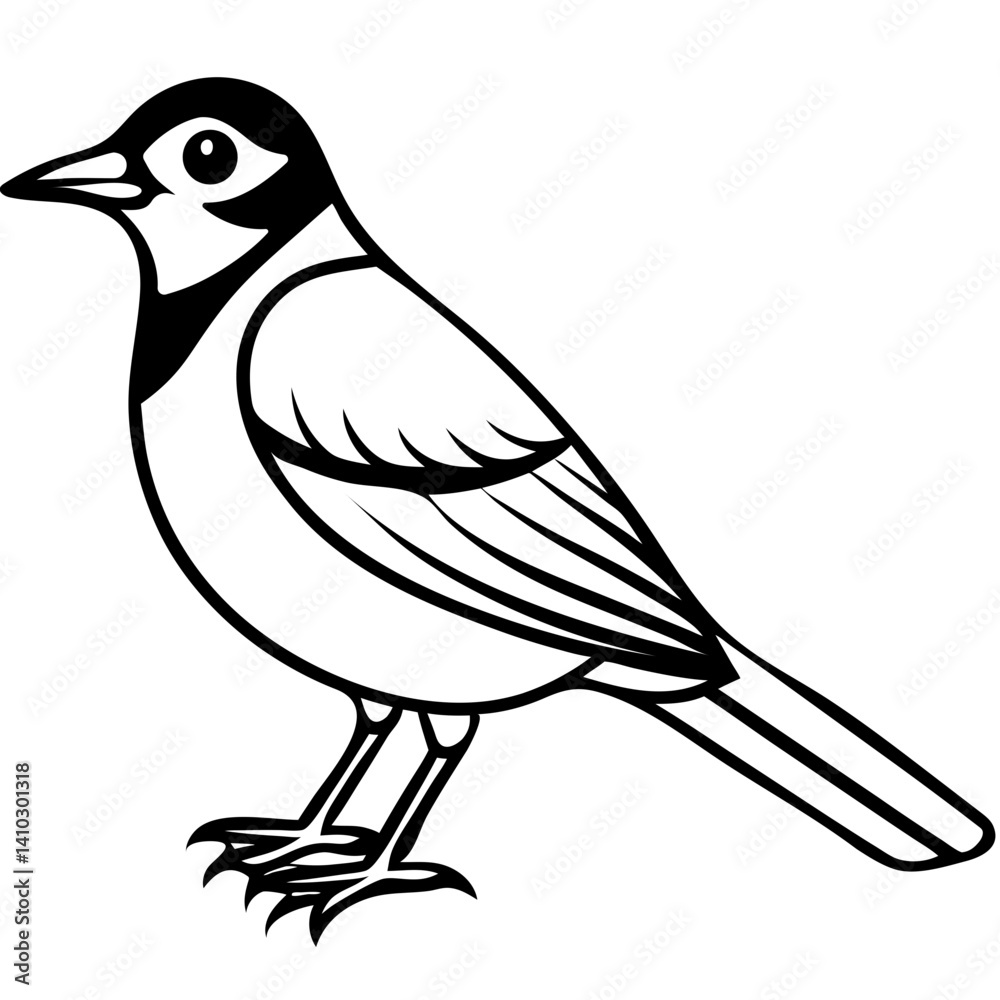 Black and White Line Art Illustration of a Bird.