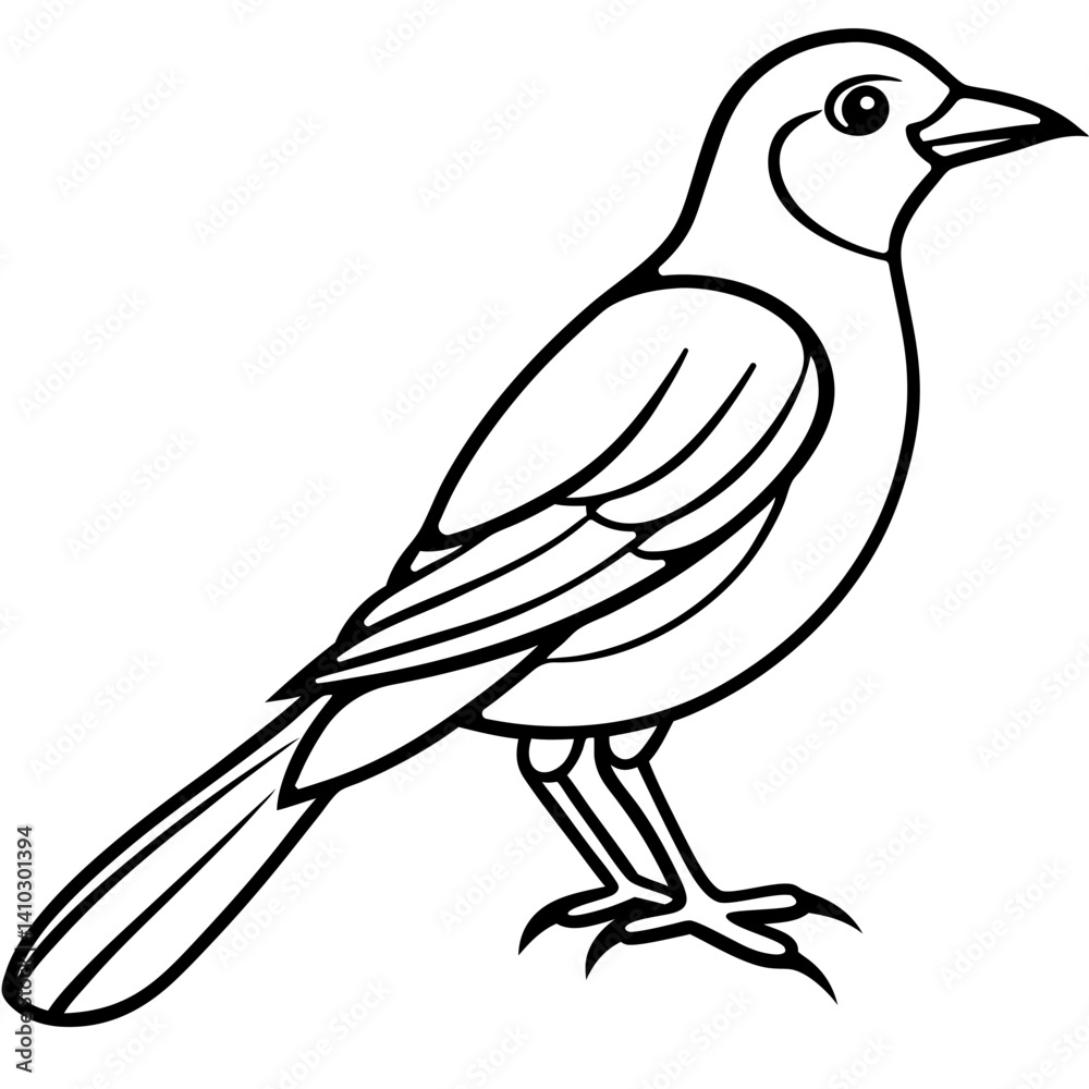 Black and White Line Art Illustration of a Bird.