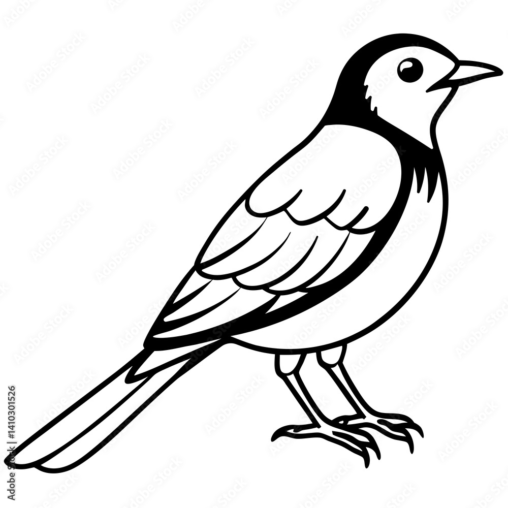 Black and White Line Art Illustration of a Bird.
