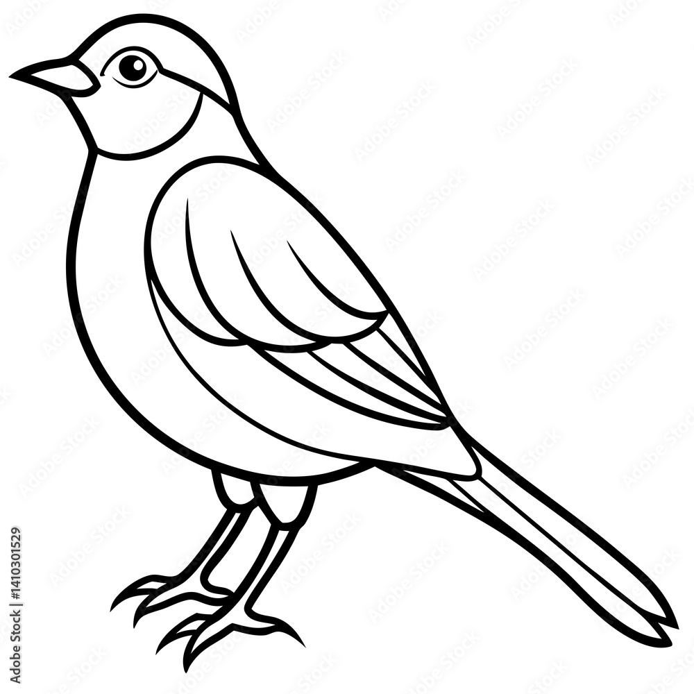 Black and White Line Art Illustration of a Bird.