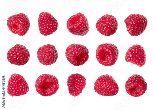 Set of ripe raspberries on a transparent background. Large collection of juicy raspberries