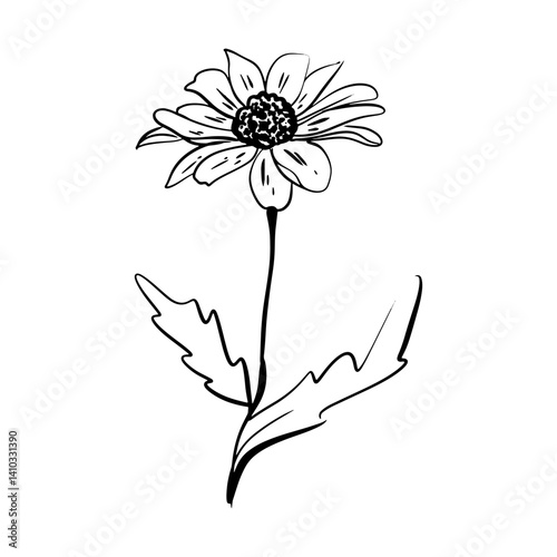 Doodle daisy flower sketch. Good for greeting cards and invitations of the wedding, birthday, Valentine's Day, mother's day and other seasonal holiday