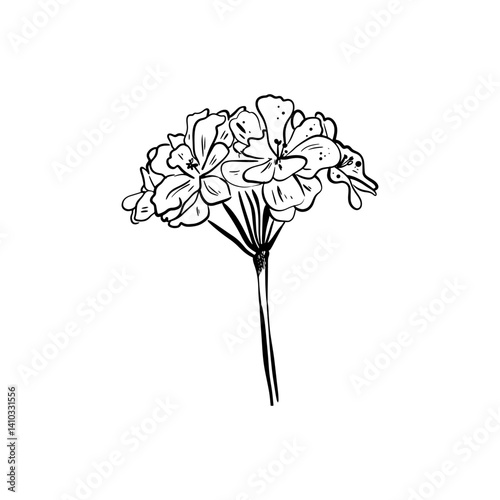 Doodle hydrangea  flower sketch. Good for greeting cards and invitations of the wedding, birthday, Valentine's Day, mother's day and other seasonal holiday