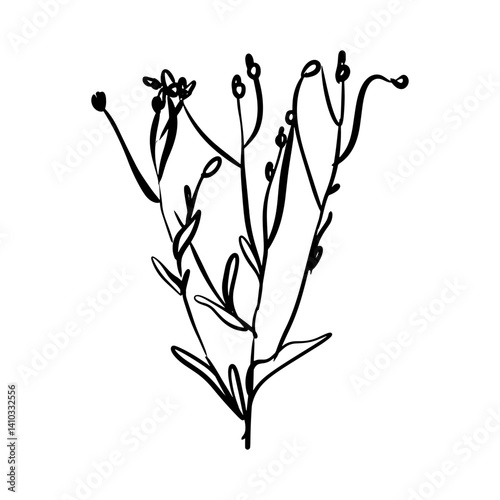 Wildflower Branch line art. Floral logo hand drawn sketch. Black vintage botanical floral branch. Vector illustration in outline style