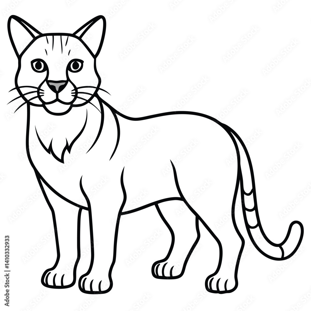 Obraz premium Bobcat illustration flat vector design