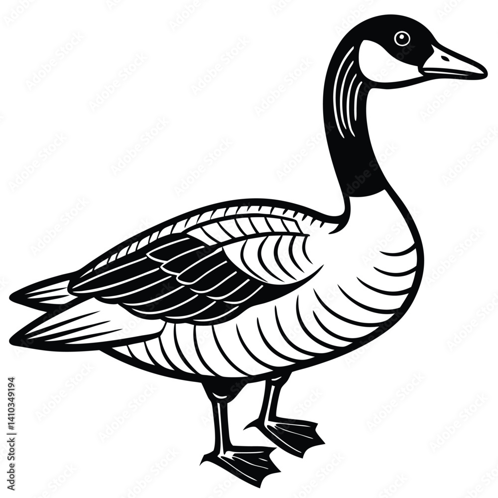 Fototapeta premium Canada Goose illustration flat vector design