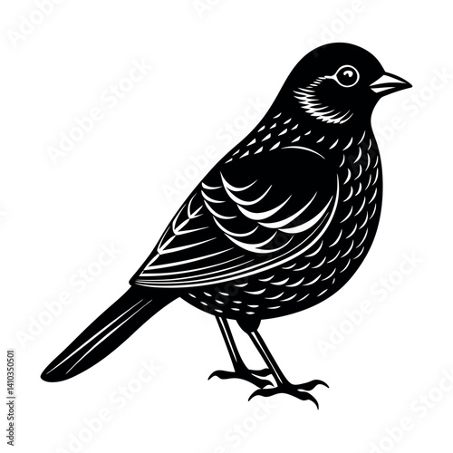northern garnet bird vector silhouette