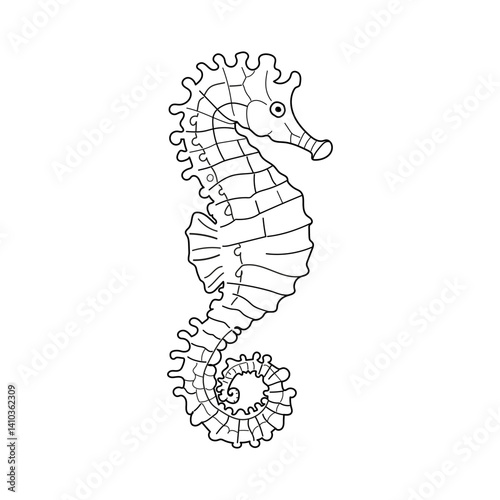 Black And White Line Drawing of a Detailed Seahorse Illustration