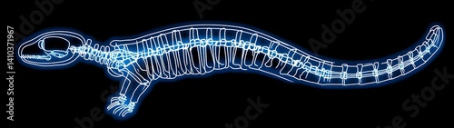 Lizard Skeleton Diagram