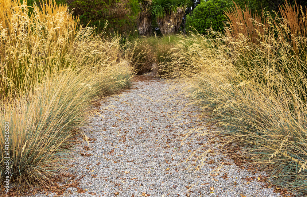 Beautiful flower and herb garden in the South Island, New Zealand