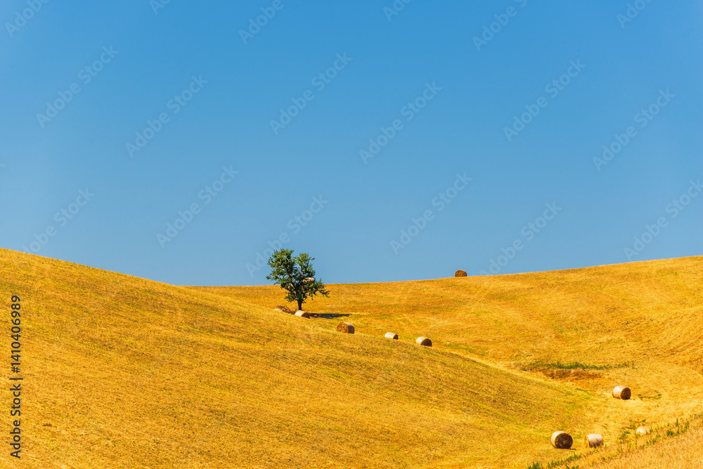 Obraz premium rural countryside landscape during a sunny summer day inside Val d'Agri, Basilicata