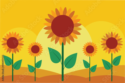 sunflower vector illustration